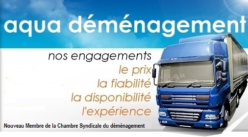 demenagement paris